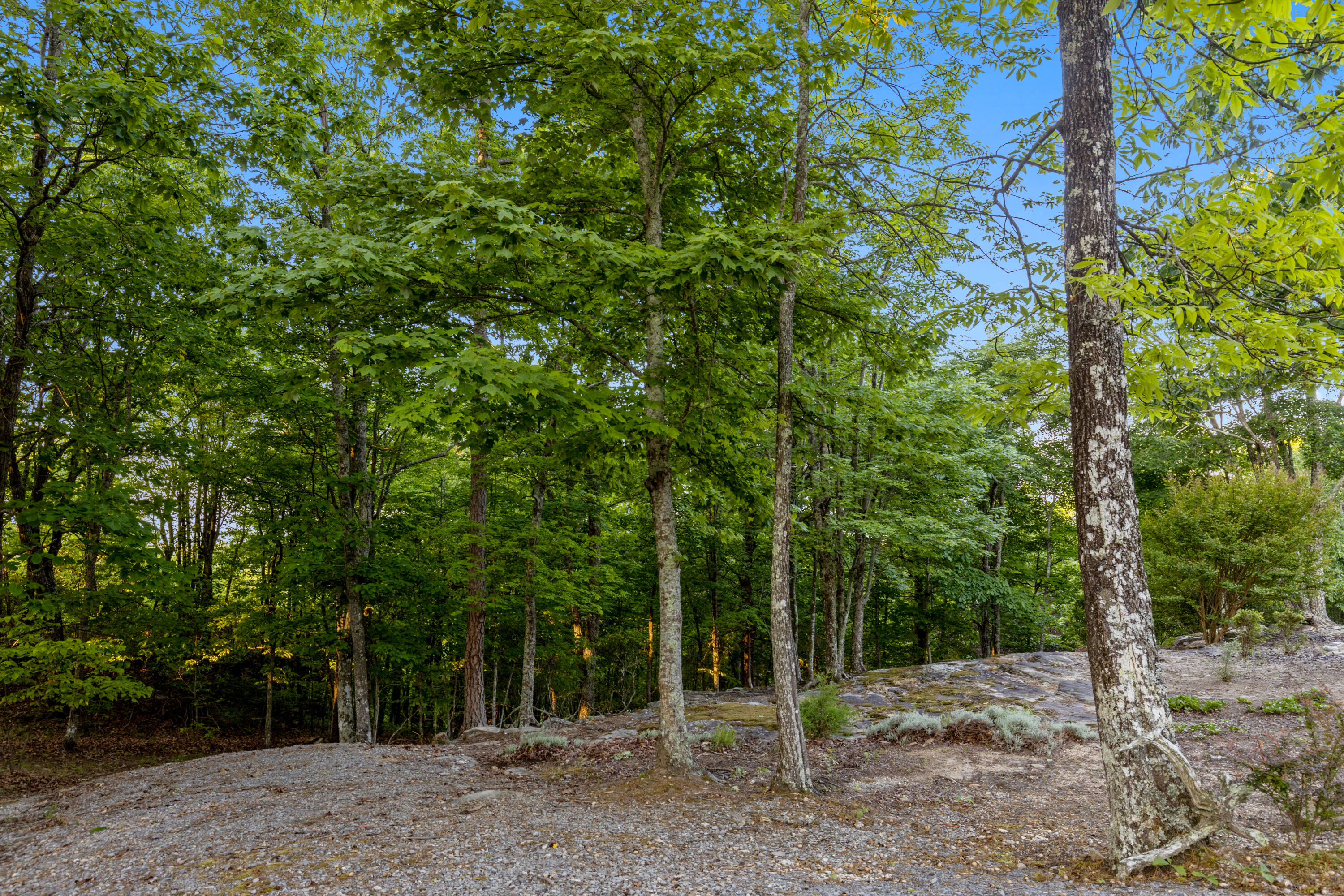 143 Tunnie Point Dunlap, TN 37327 - Photo 75 of 126 Tunnie-76