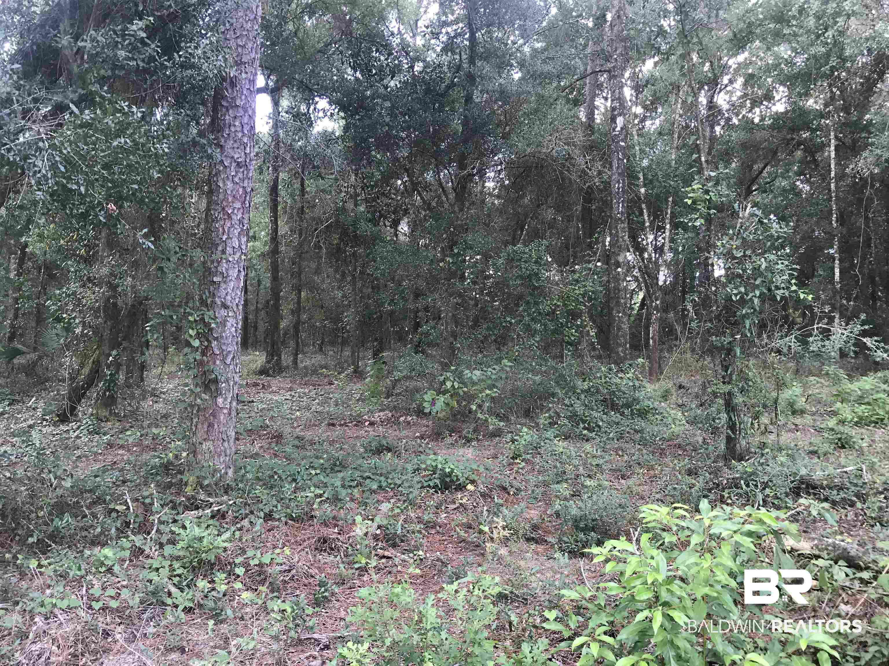 14268 State Highway Silverhill, AL 36576 - Photo 13 of 17 View of landscape