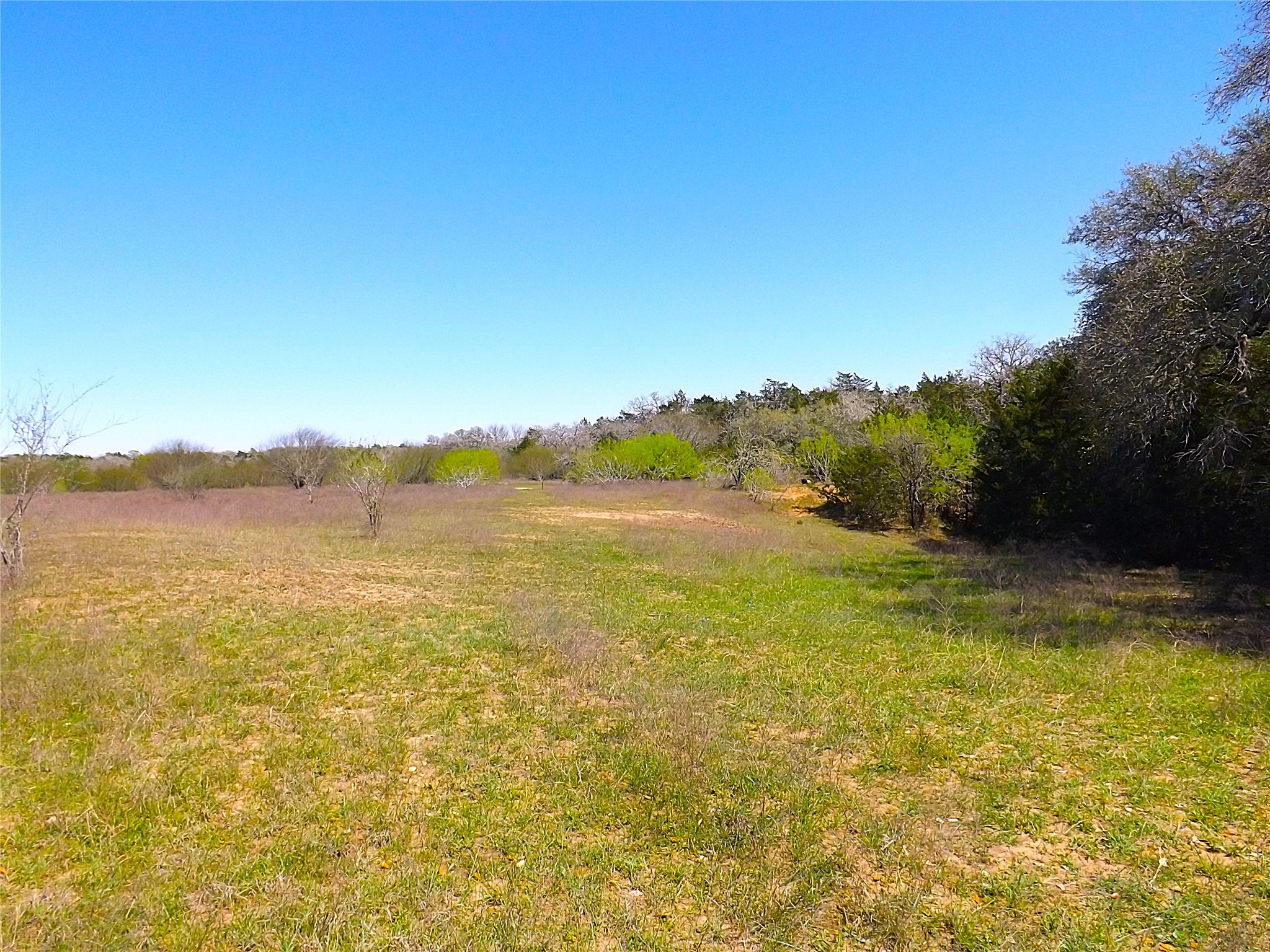 1649 County Road 209 Weimar, TX 78962 - Photo 18 of 27 a view of an ocean from a mountain