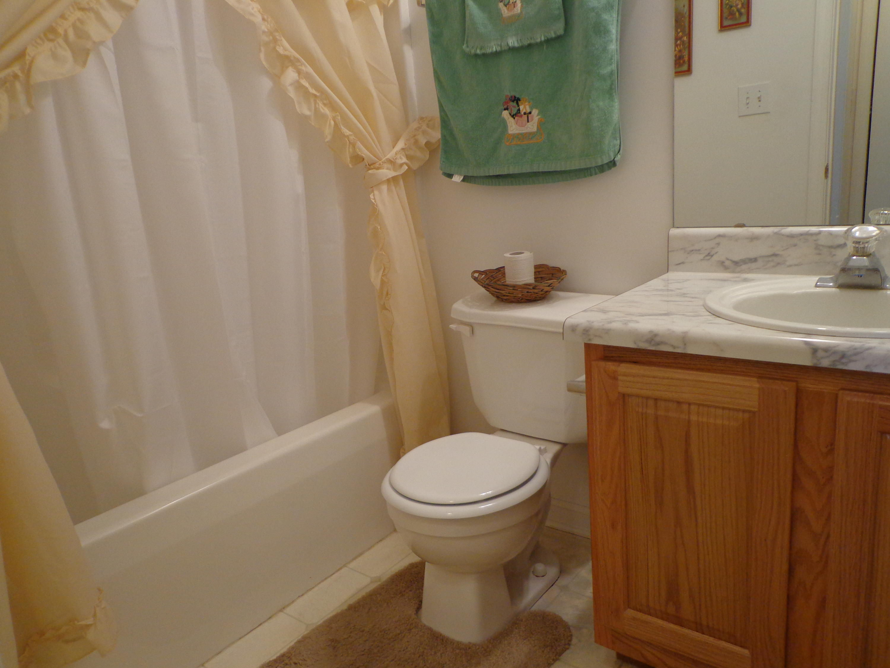 531 Deer Ridge Lane Vinton, VA 24179 - Photo 23 of 24 DSC06664
