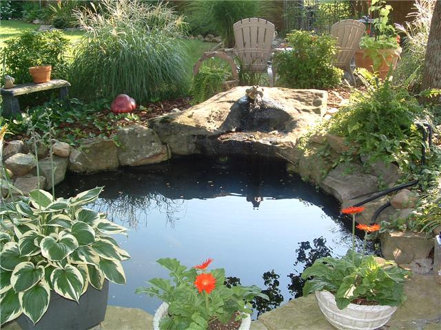 2212 Red Mile Road Murfreesboro, TN 37127 - Photo 19 of 20 This tranquil koi pond and fountain is a great place to just relax and watch the fish!