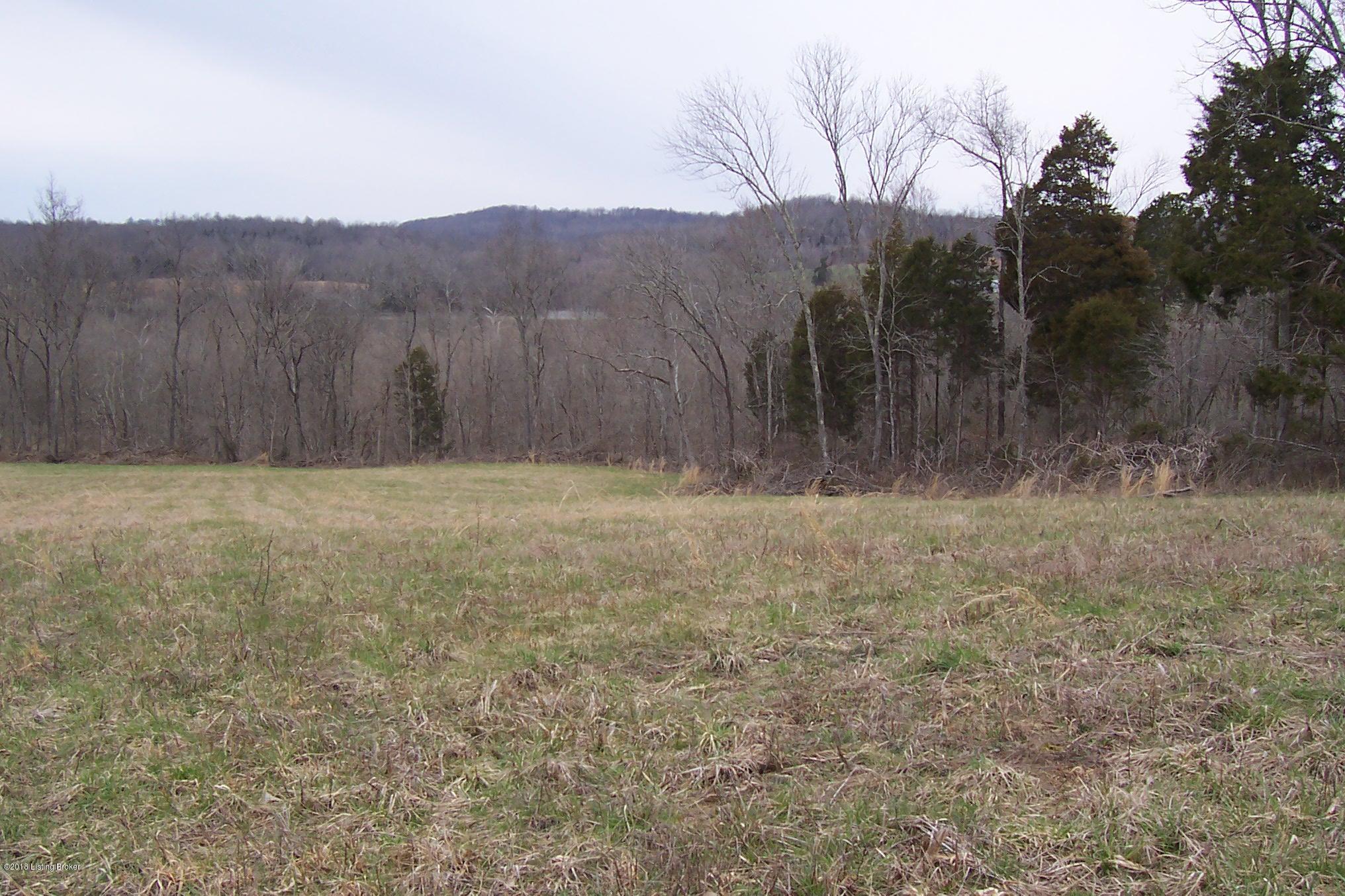 999 Mahurn Cemetery Road Caneyville, KY 42721 - Photo 8 of 12 100_6494