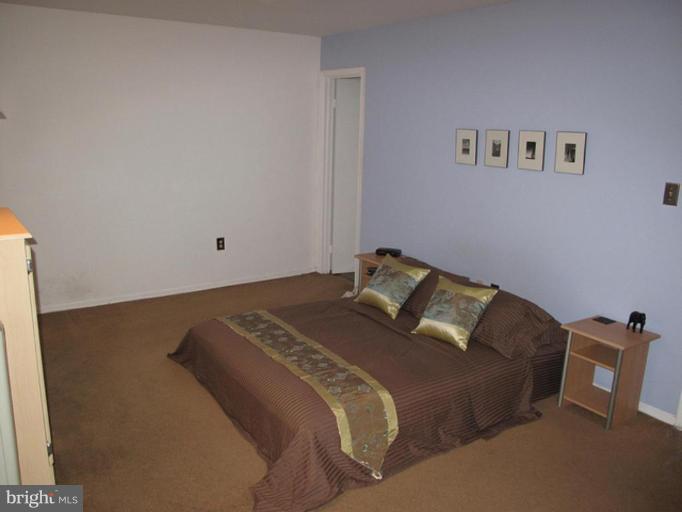 11905 Rumsfeld Terrace Silver Spring, MD 20904 - Photo 19 of 20 Master Bedroom