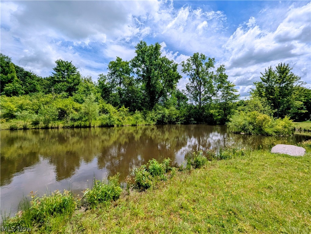 7394 Kniffen Road Painesville, OH 44077 - Photo 13 of 48