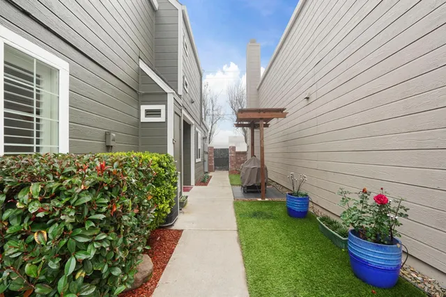 a garden with flowers and flowers