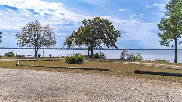 a view of outdoor space with garden and trees