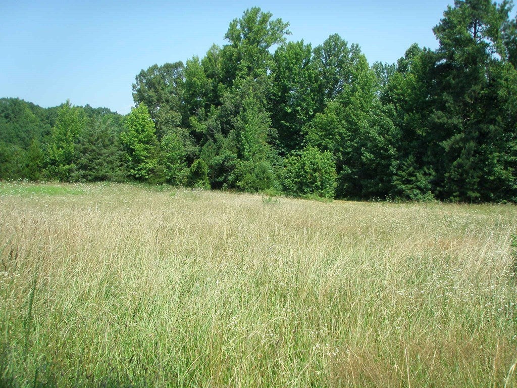 4684 Springfield Road Meherrin, VA 23954 - Photo 28 of 34 Gallery Image 28