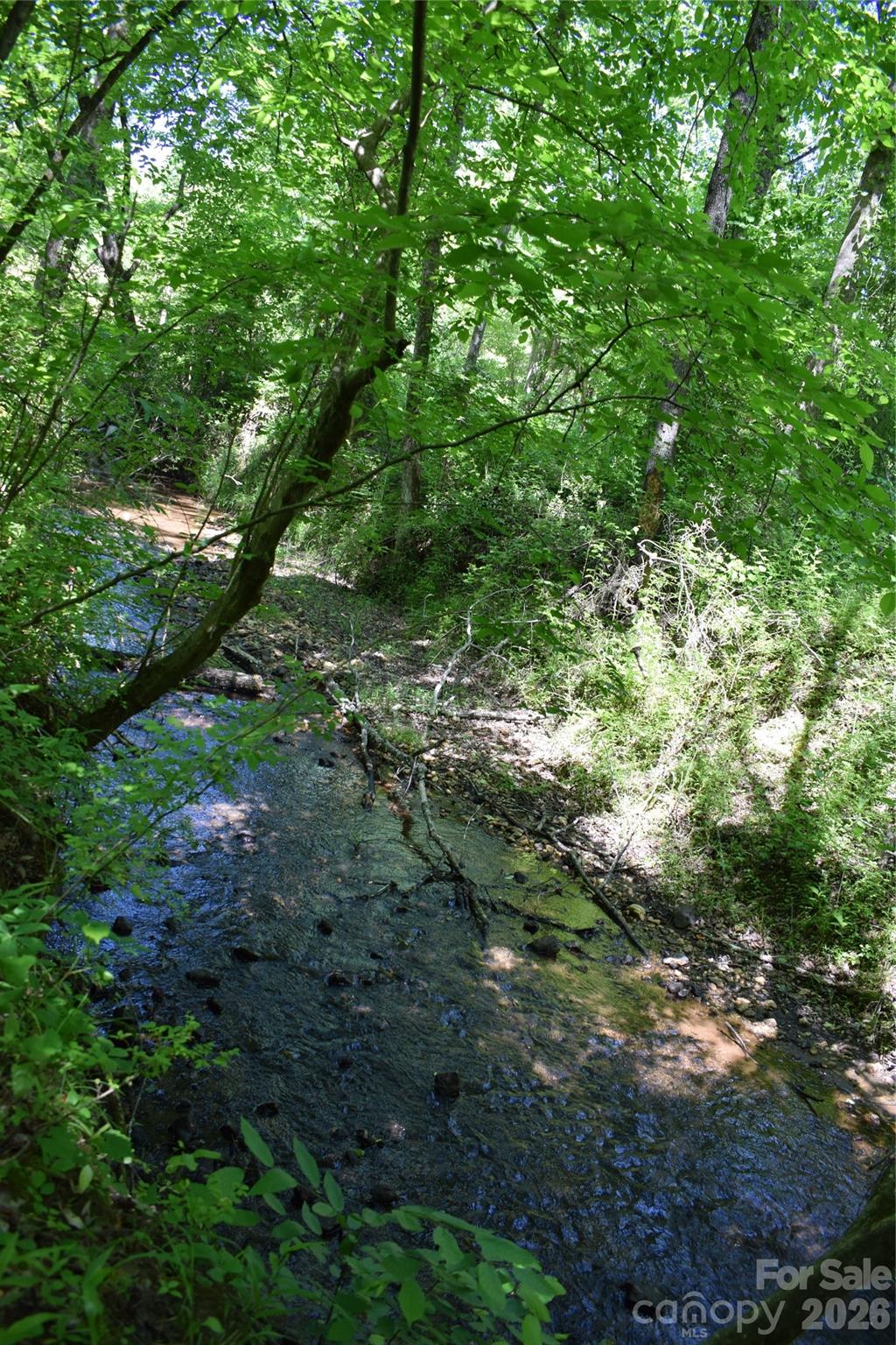 0 Floyd Blackwell Road Tryon, NC 28782 - Photo 13 of 27 a view of a forest with lots of trees