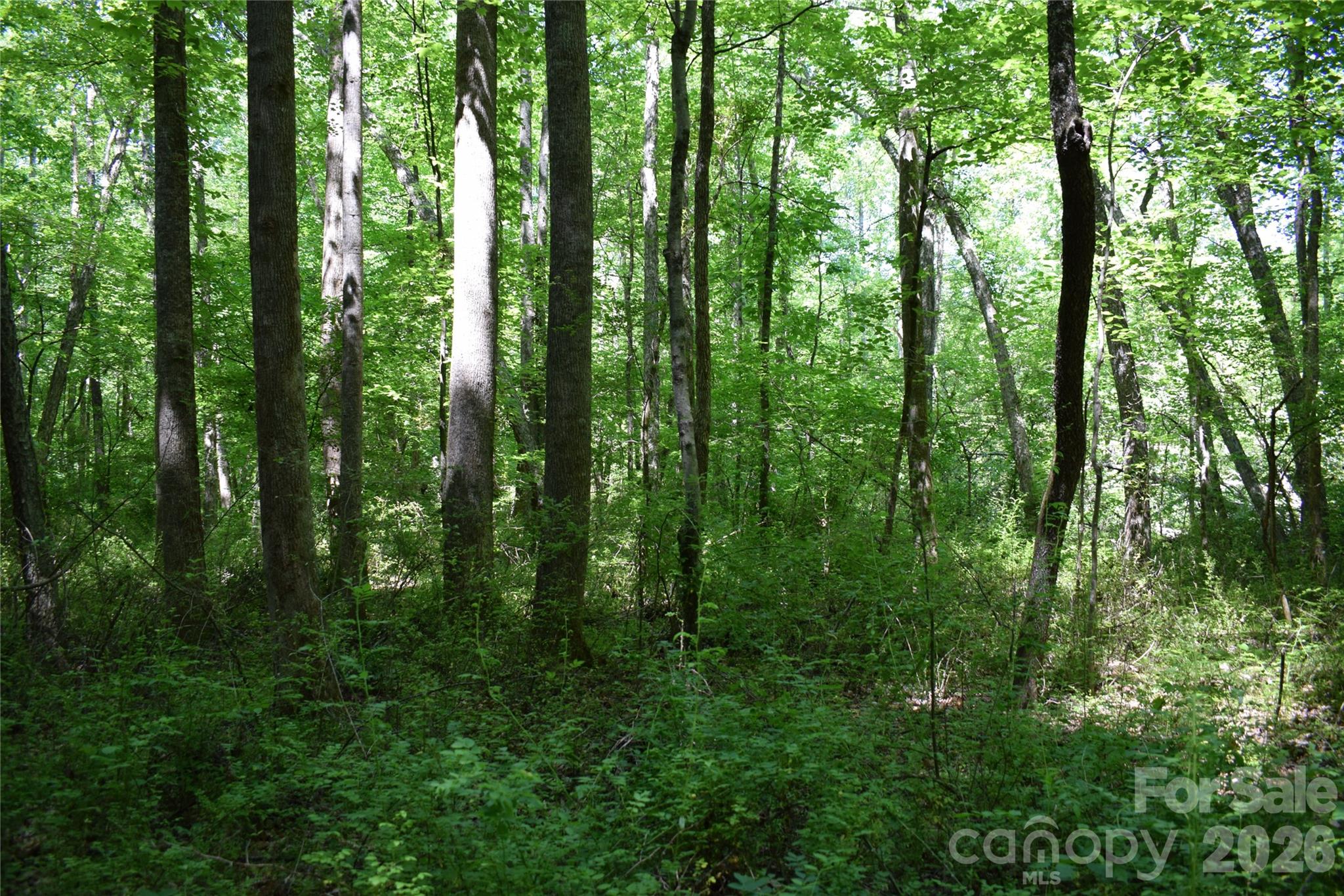 0 Floyd Blackwell Road Tryon, NC 28782 - Photo 15 of 27 a view of outdoor space and green space