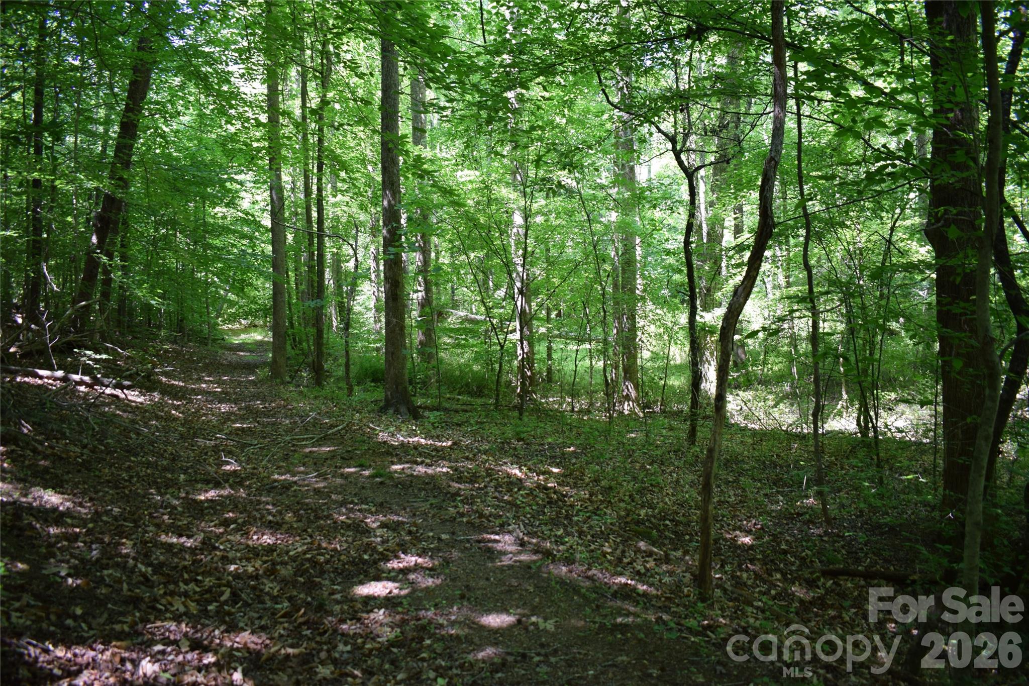 0 Floyd Blackwell Road Tryon, NC 28782 - Photo 16 of 27 a view of a lush green forest