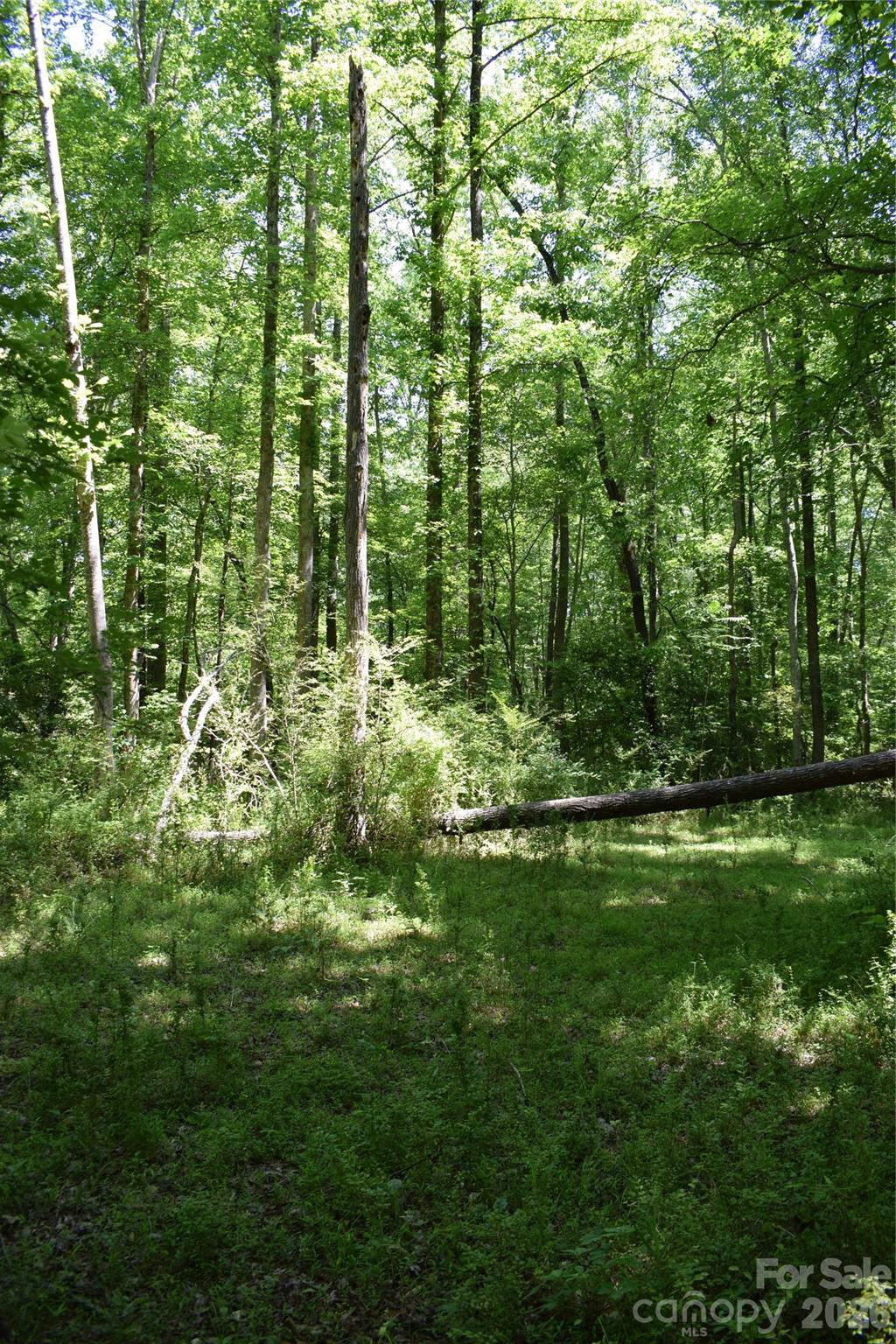 0 Floyd Blackwell Road Tryon, NC 28782 - Photo 17 of 27 a view of outdoor space and green space