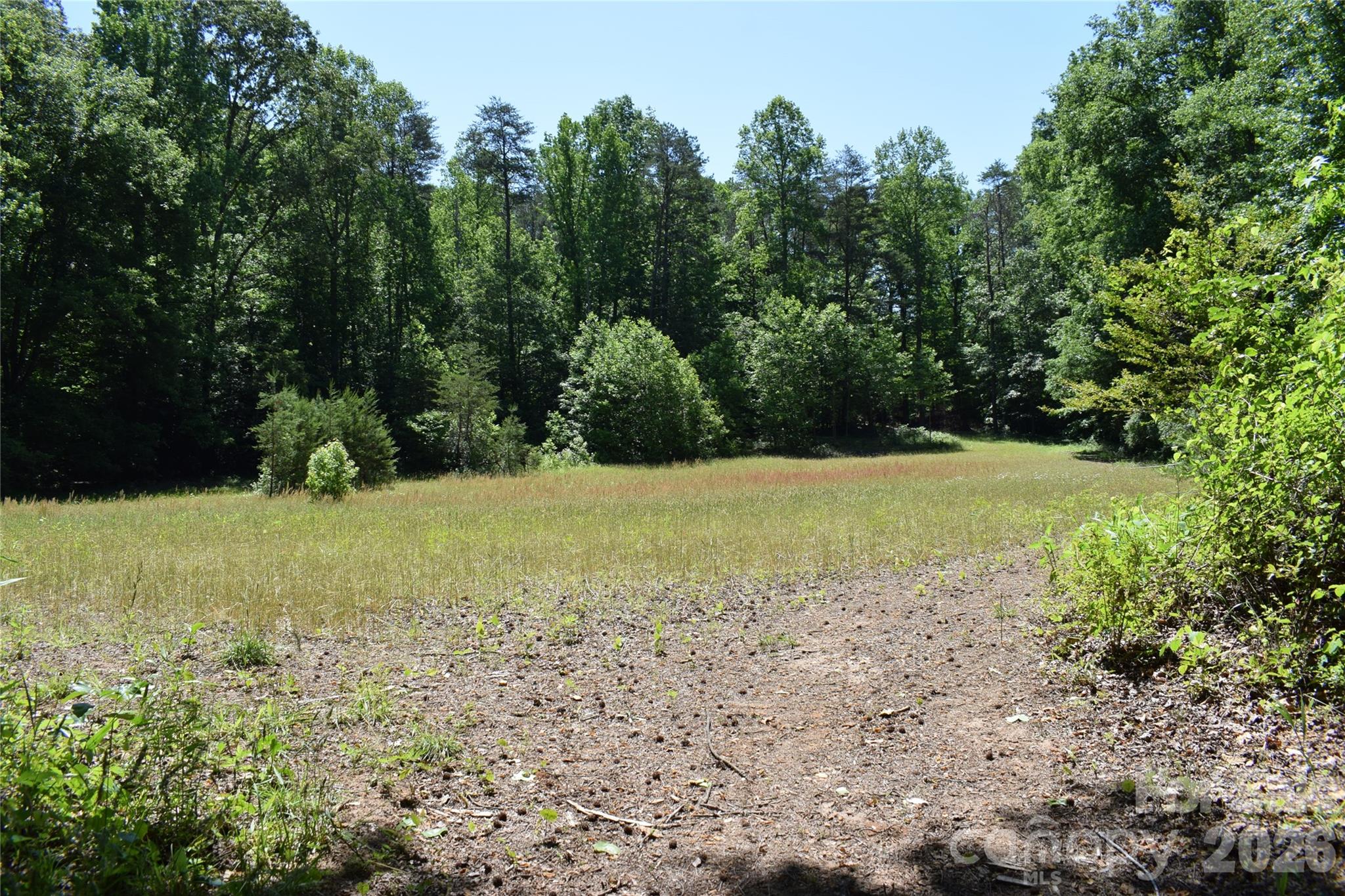 0 Floyd Blackwell Road Tryon, NC 28782 - Photo 22 of 27 a view of a field with an trees