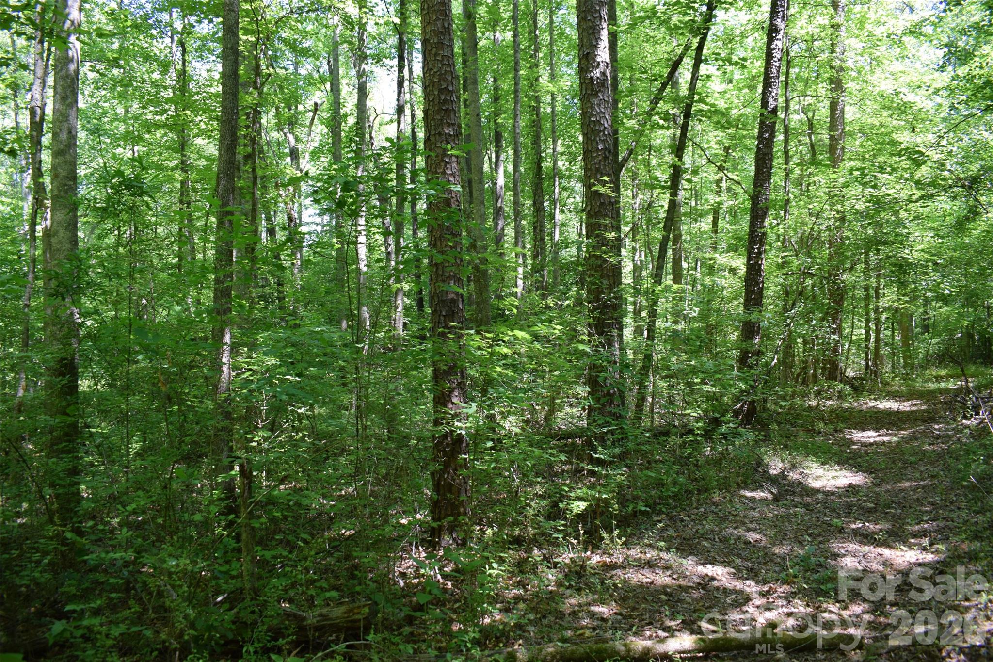 0 Floyd Blackwell Road Tryon, NC 28782 - Photo 23 of 24
