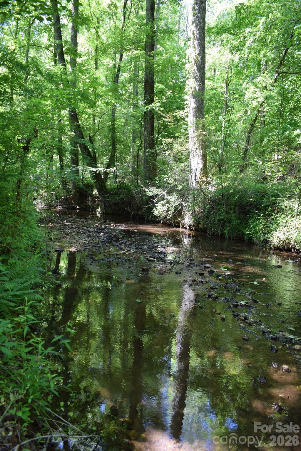 0 Floyd Blackwell Road Tryon, NC 28782 - Photo 23 of 27 a view of outdoor space and trees