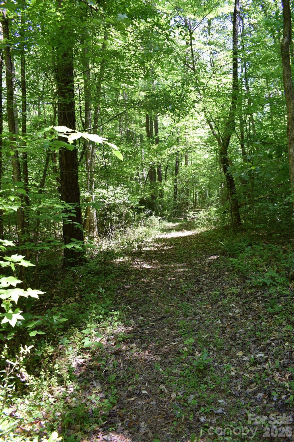 0 Floyd Blackwell Road Tryon, NC 28782 - Photo 25 of 27 a big yard with lots of green space and trees