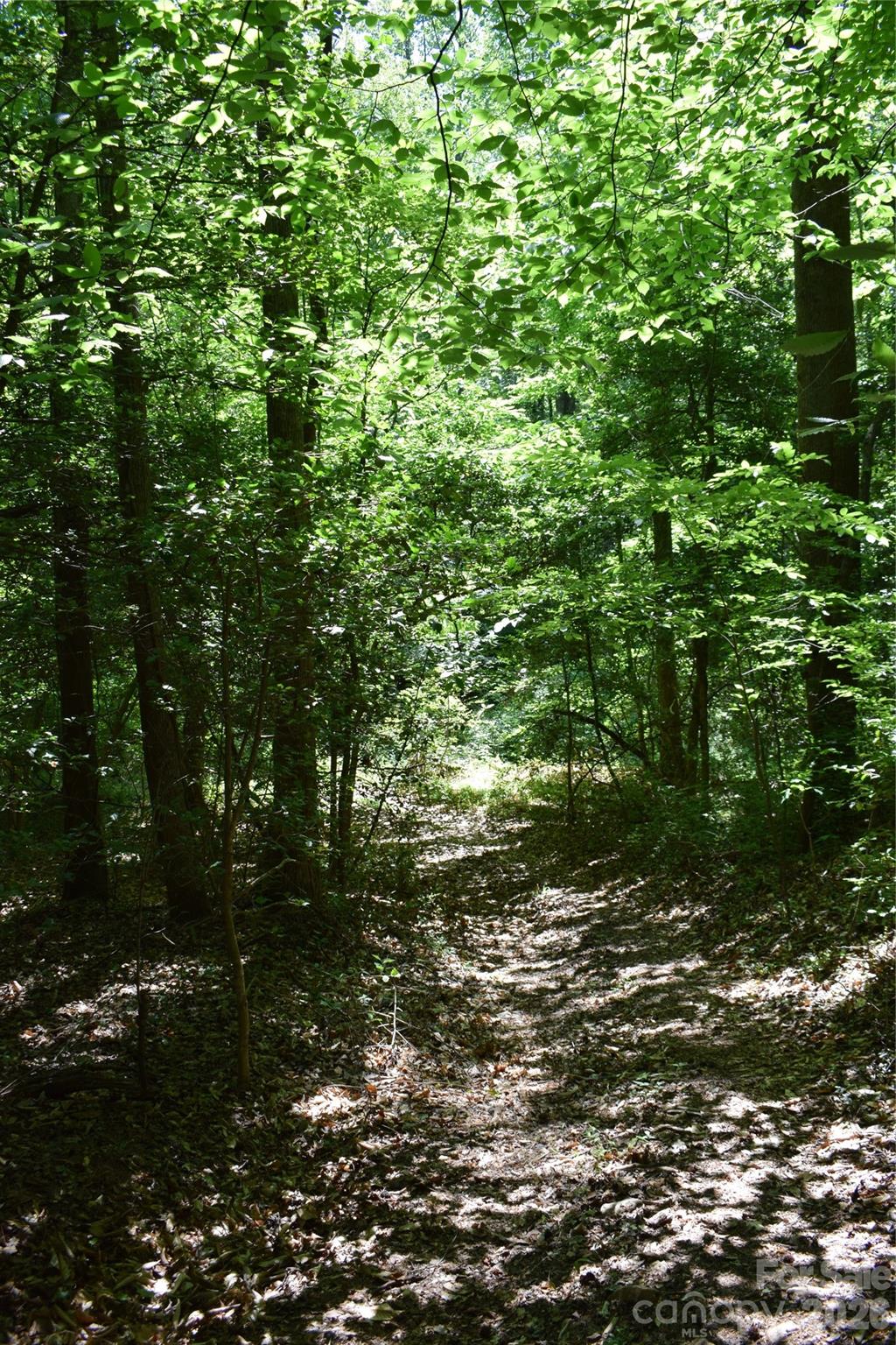 0 Floyd Blackwell Road Tryon, NC 28782 - Photo 3 of 27