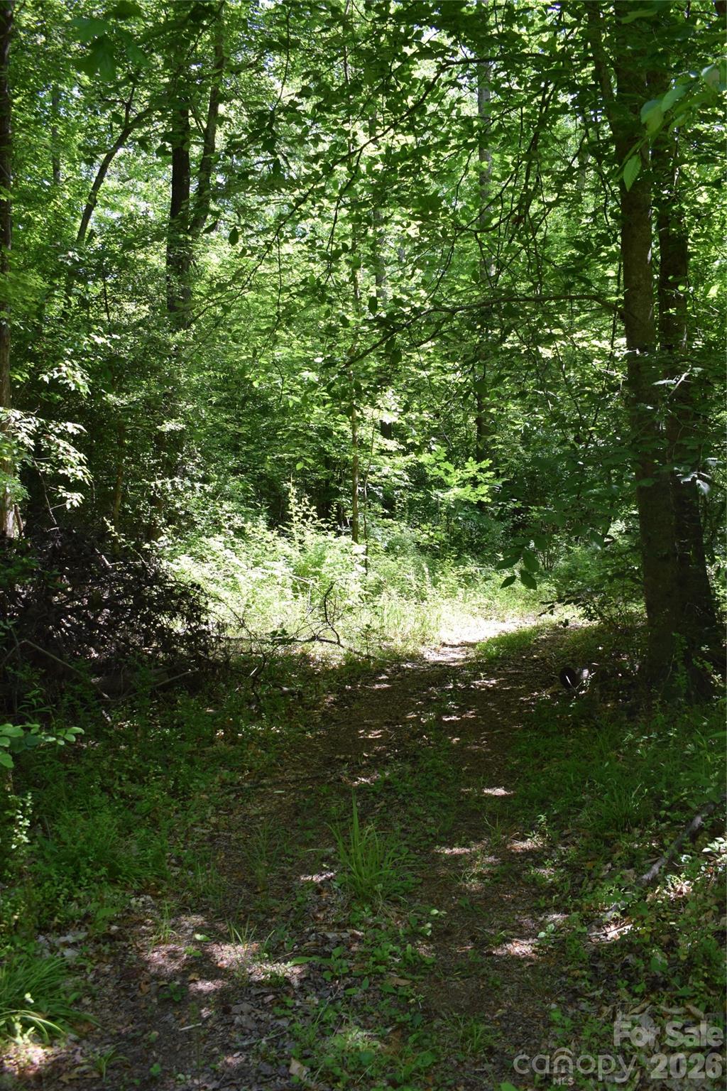 0 Floyd Blackwell Road Tryon, NC 28782 - Photo 5 of 27 a view of a lush green space with sea