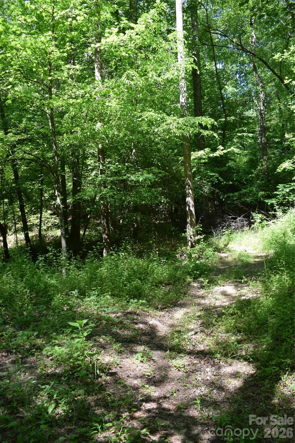 0 Floyd Blackwell Road Tryon, NC 28782 - Photo 6 of 27 a view of a lush green space