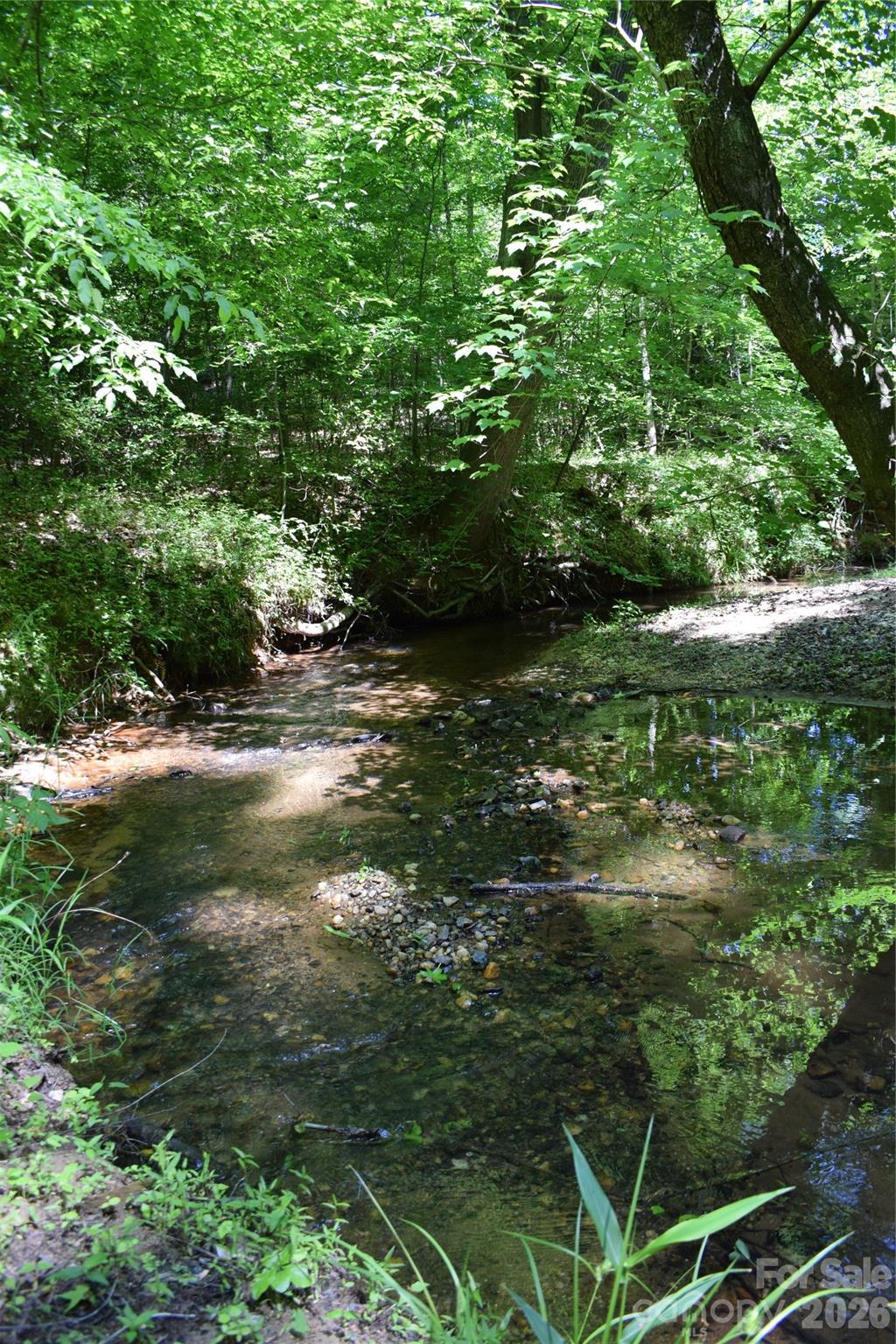 0 Floyd Blackwell Road Tryon, NC 28782 - Photo 7 of 27 a view of a forest with a tree