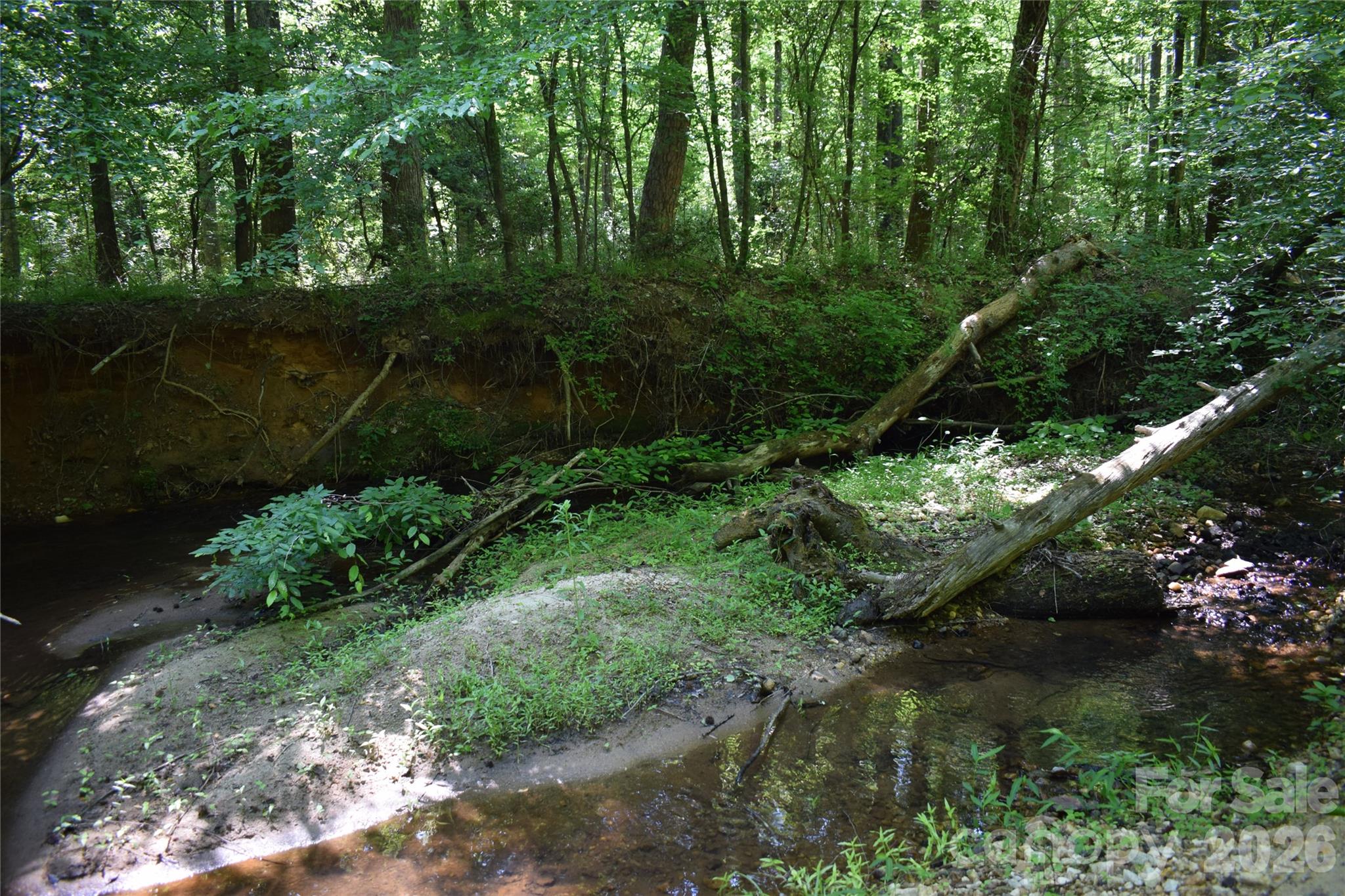 0 Floyd Blackwell Road Tryon, NC 28782 - Photo 8 of 27 a view of backyard with green space