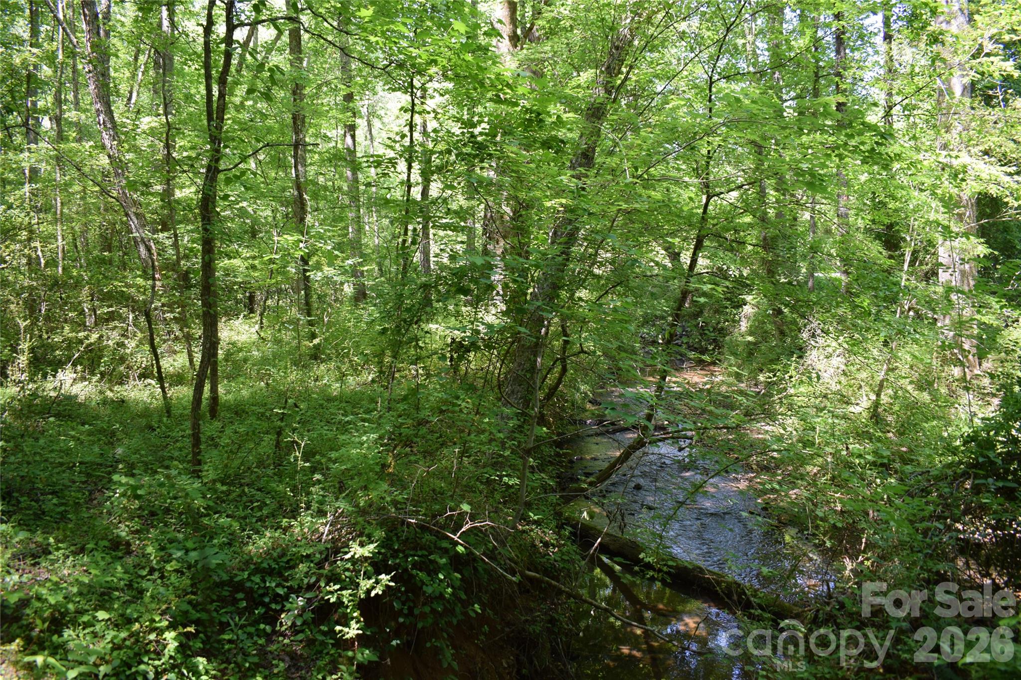 0 Floyd Blackwell Road Tryon, NC 28782 - Photo 10 of 27 a view of a lush green forest