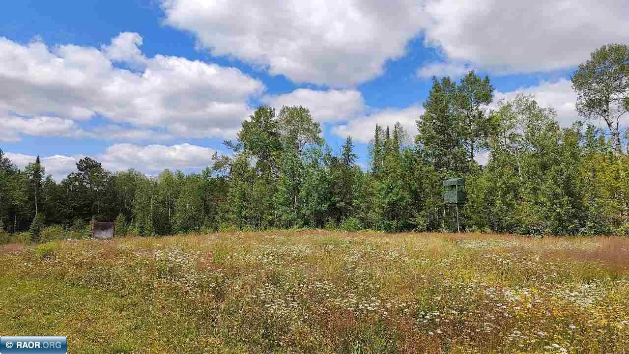 6821 Barrett Road Chisholm, MN 55719 - Photo 25 of 38
