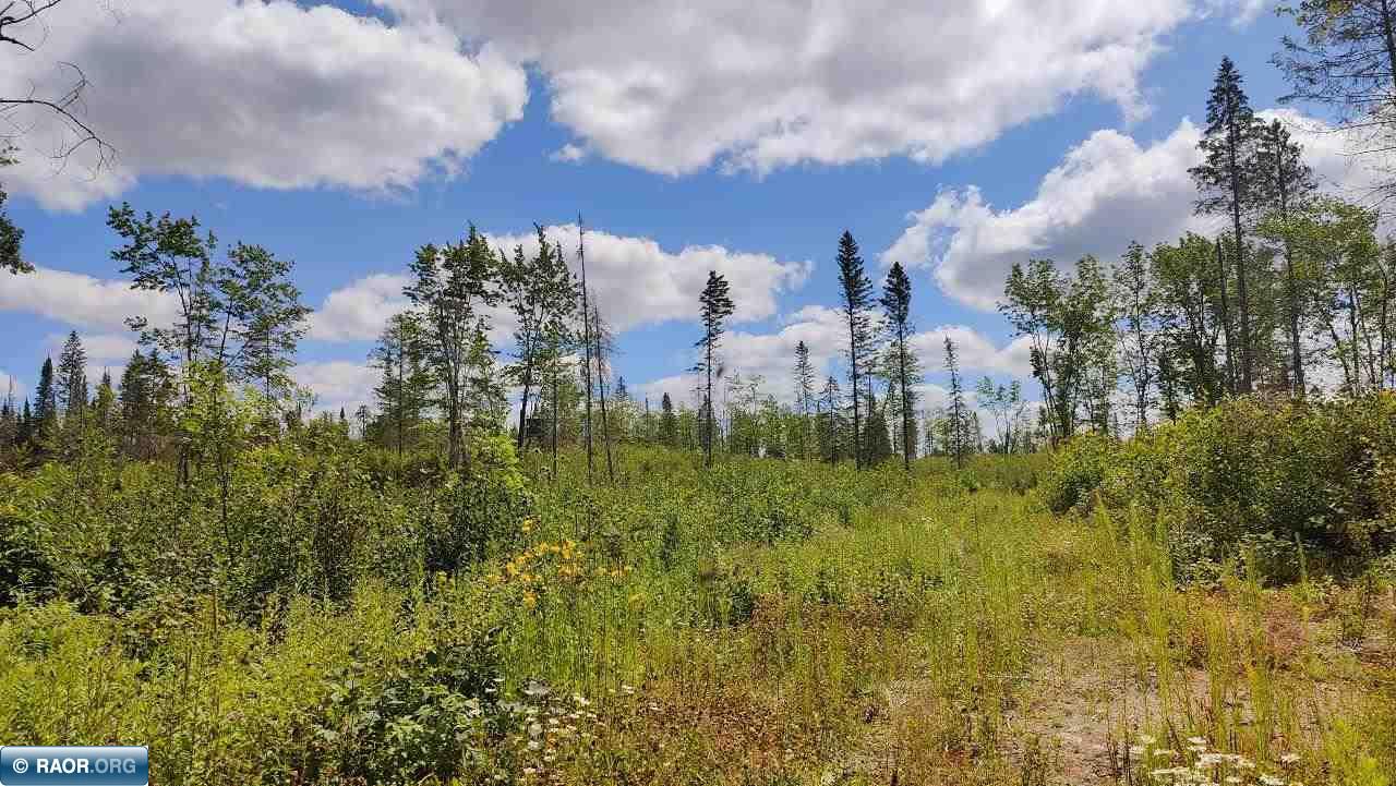 6821 Barrett Road Chisholm, MN 55719 - Photo 31 of 38