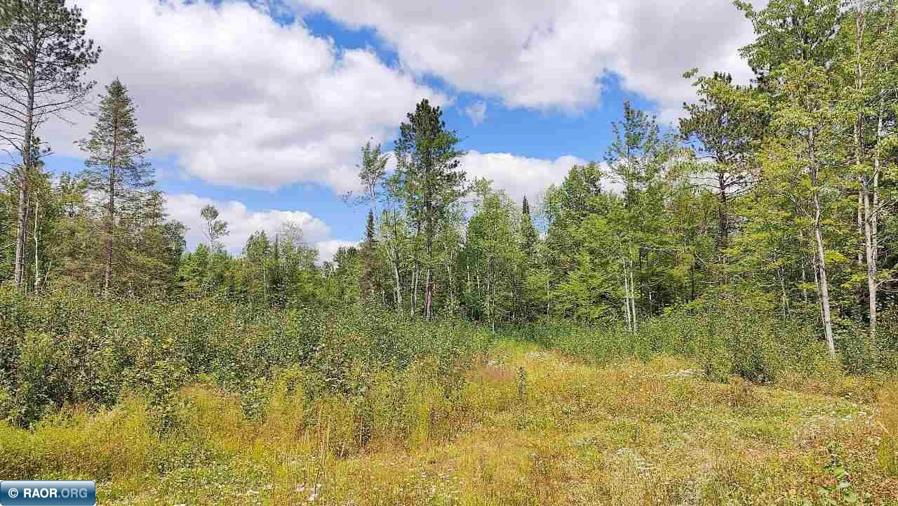 6821 Barrett Road Chisholm, MN 55719 - Photo 32 of 38