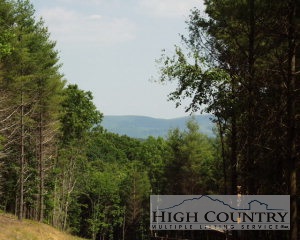 Lot 25 Cedar Ridge Road Fleetwood, NC 28626 - Photo 1 of 1 Gallery Image 1