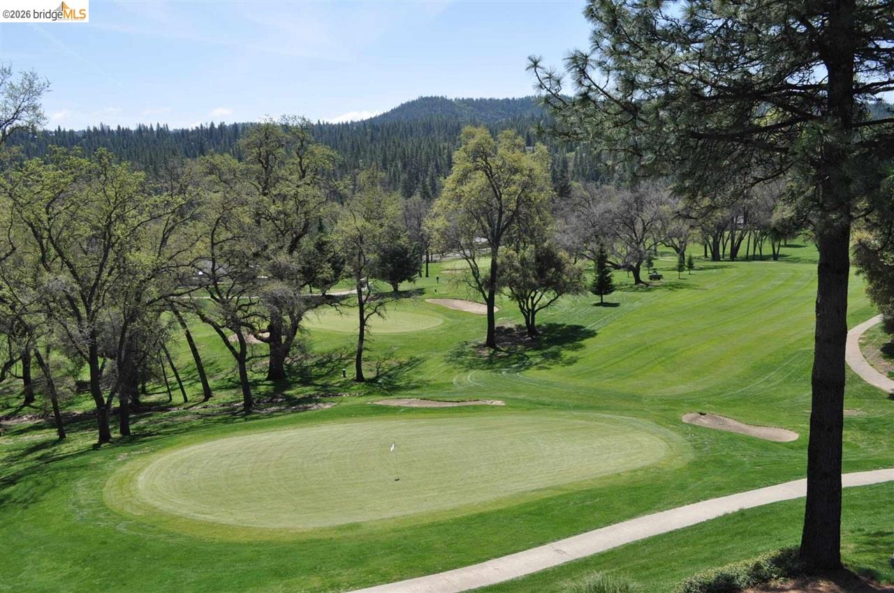 6-234 Ferretti Road Groveland, CA 95321 - Photo 20 of 36 a view of a park