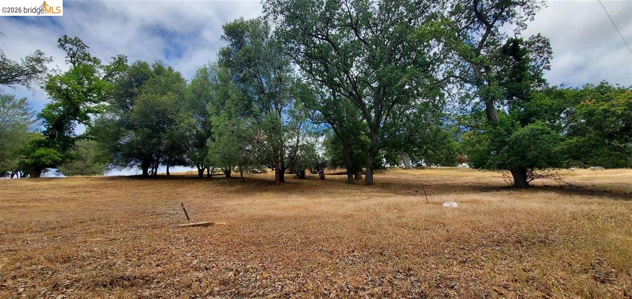 6-234 Ferretti Road Groveland, CA 95321 - Photo 2 of 36 a view of a tree in a field