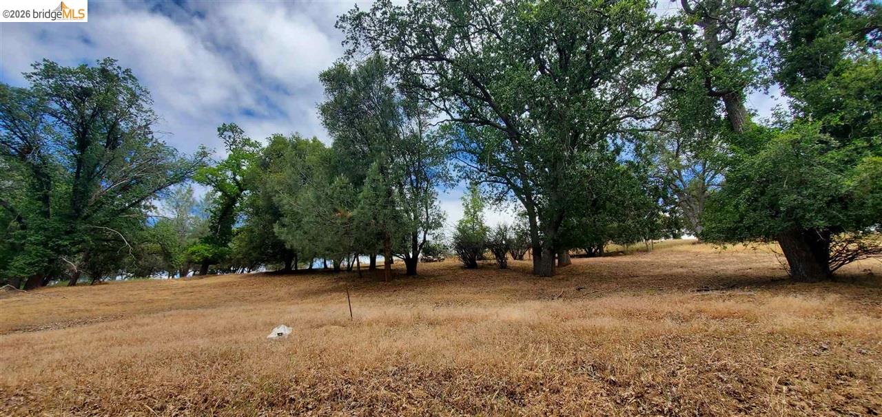 6-234 Ferretti Road Groveland, CA 95321 - Photo 3 of 36