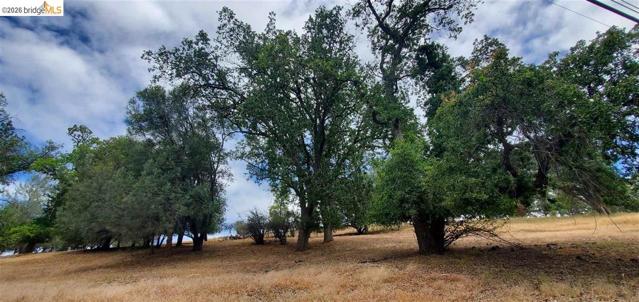 6-234 Ferretti Road Groveland, CA 95321 - Photo 4 of 36 a view of outdoor space with entertaining space