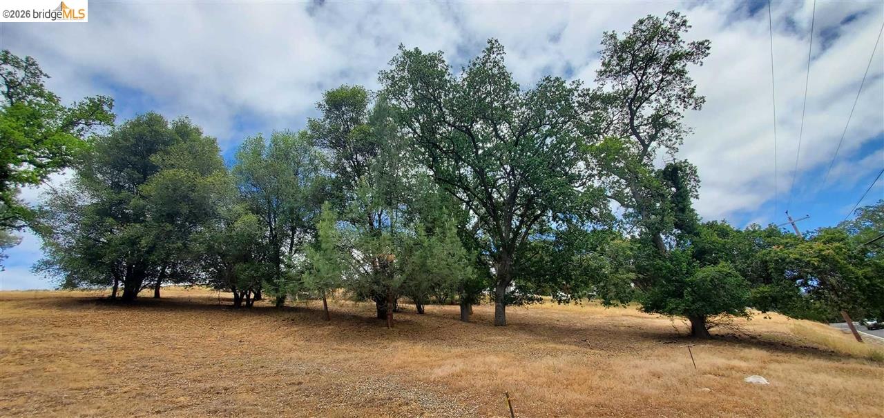 6-234 Ferretti Road Groveland, CA 95321 - Photo 5 of 36 a view of a tree in front of a house