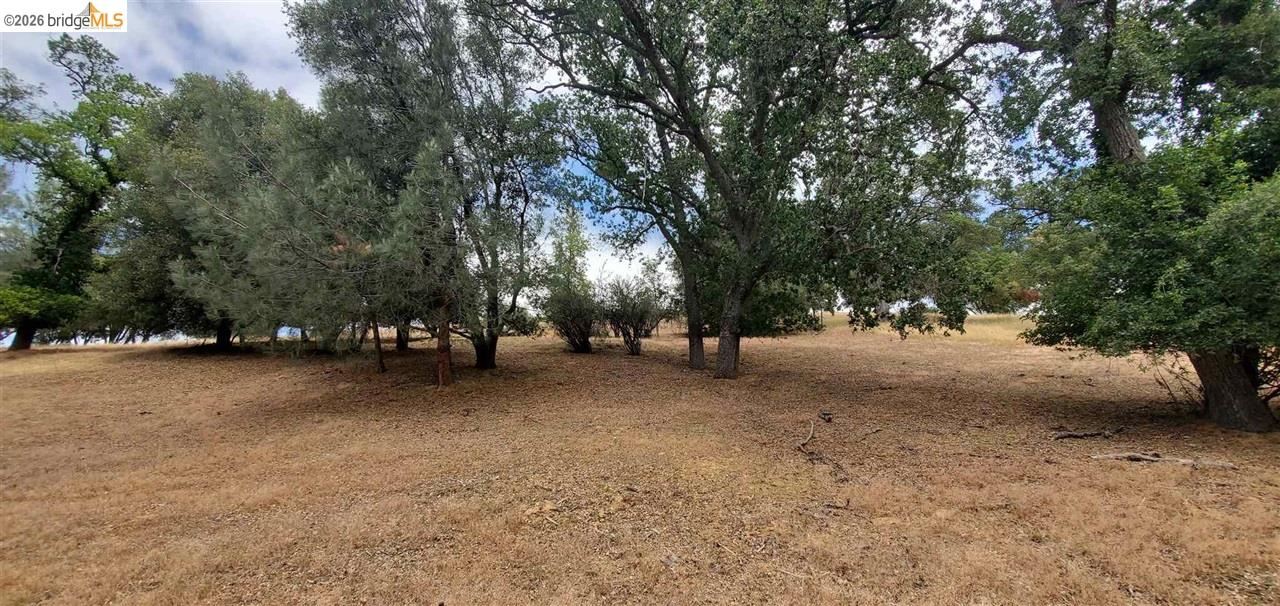 6-234 Ferretti Road Groveland, CA 95321 - Photo 7 of 36 a view of a street with trees