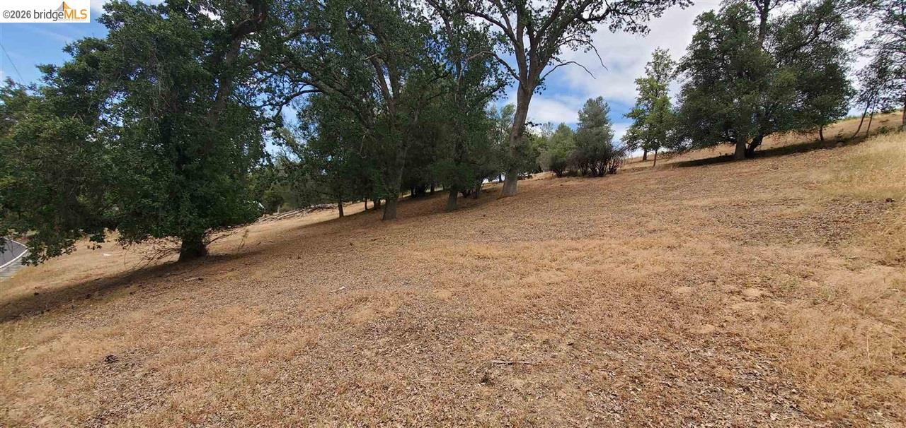 6-234 Ferretti Road Groveland, CA 95321 - Photo 8 of 36 a view of a field with trees in the background