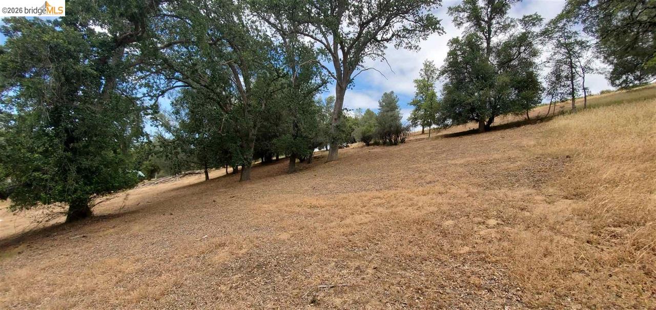 6-234 Ferretti Road Groveland, CA 95321 - Photo 10 of 36 a view of a field with trees in the background