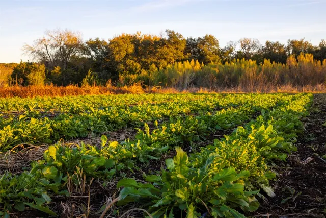 a view of an ocean and a mountain