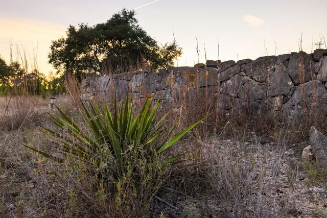 $2,950,000 | 13977 Farm To Market Road 2325, Blanco, TX 78606