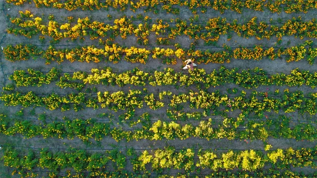 $2,950,000 | 13977 Farm To Market Road 2325, Blanco, TX 78606