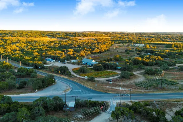 a picture of flowers