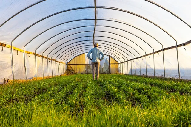 a view of swimming pool with outdoor seating