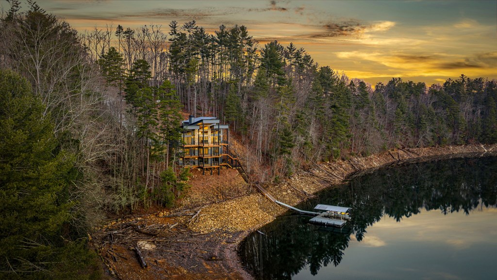 770 Fish Hook Point Blue Ridge, GA 30513 - Photo 10 of 96