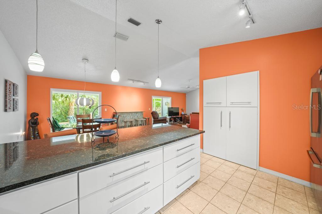 658 Clark Court Mount Dora, FL 32757 - Photo 22 of 65