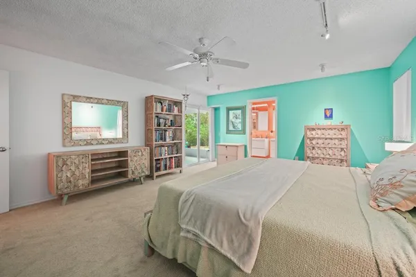 a bathroom with a shower and a shower curtain