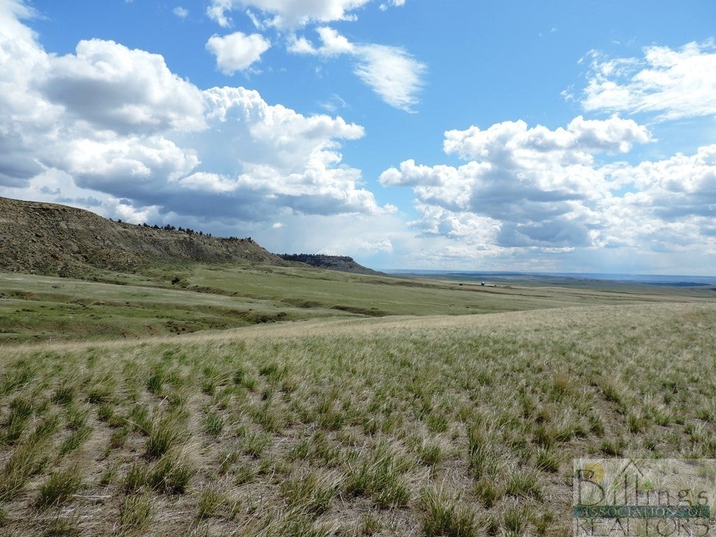 0 Shepherd Acton Road Shepherd, MT 59079 - Photo 1 of 1 Gallery Image 1