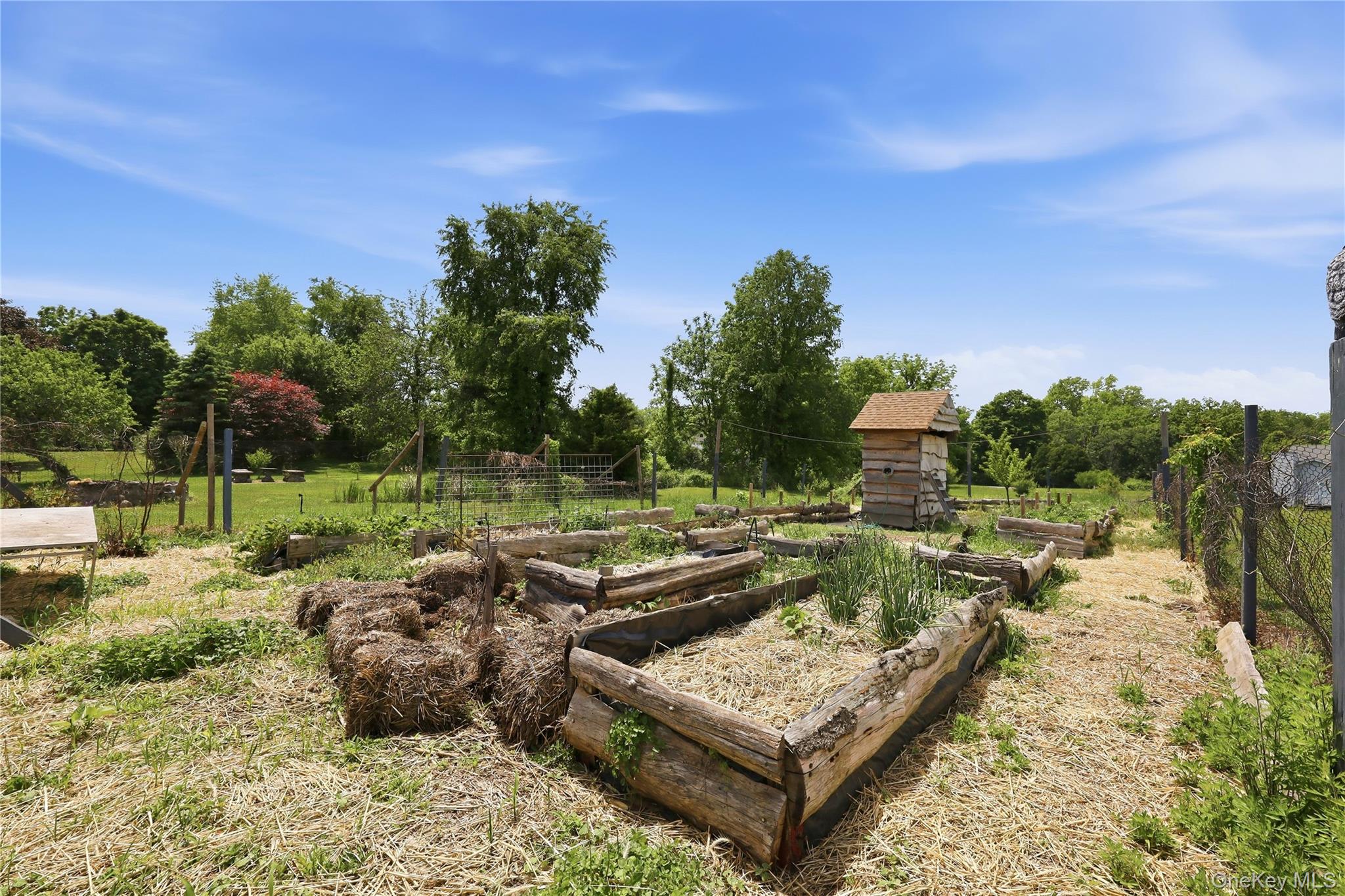 347 Plains Road Wallkill, NY 12589 - Photo 38 of 46 Raised garden beds