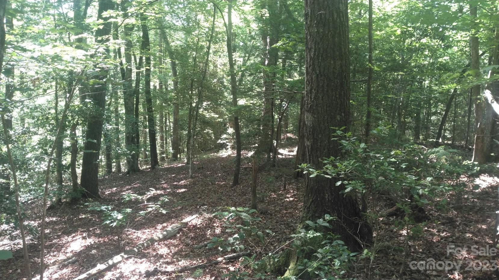 Lot 6 Falls Dr Mill Spring Mill Spring, NC 28756 - Photo 13 of 21 a view of forest