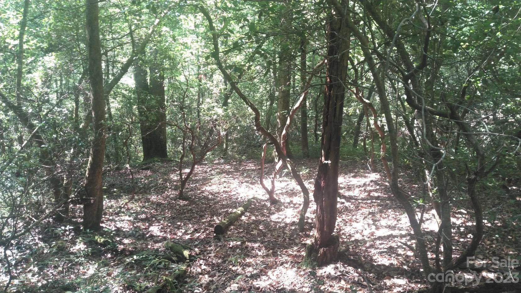 Lot 6 Falls Dr Mill Spring Mill Spring, NC 28756 - Photo 15 of 21 a view of forest