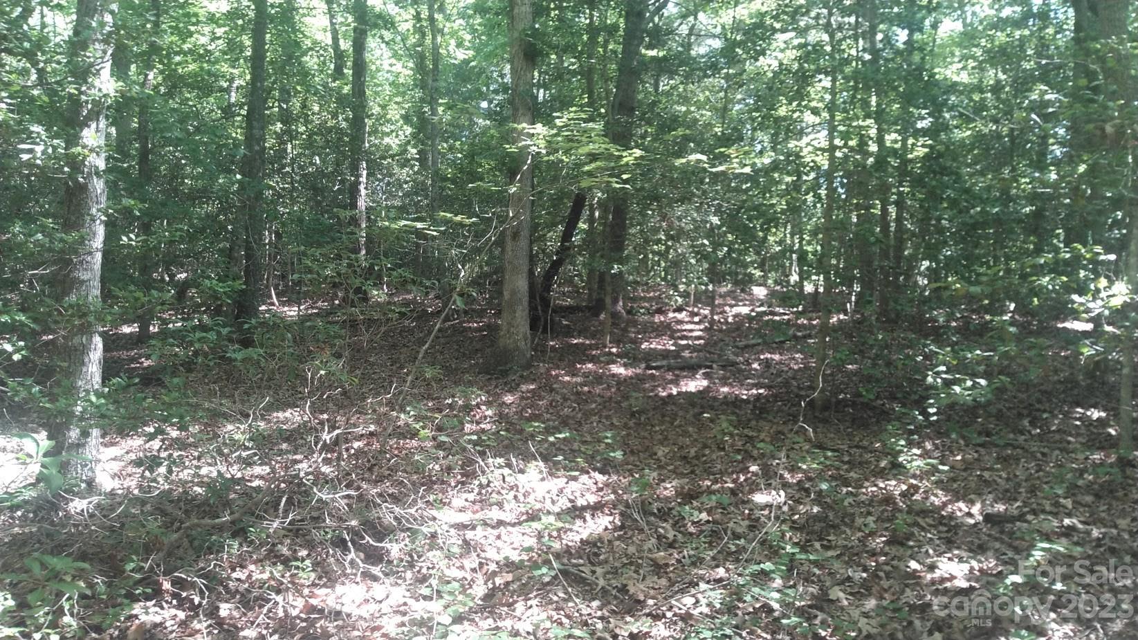 Lot 6 Falls Dr Mill Spring Mill Spring, NC 28756 - Photo 17 of 21 a view of a forest with lots of trees